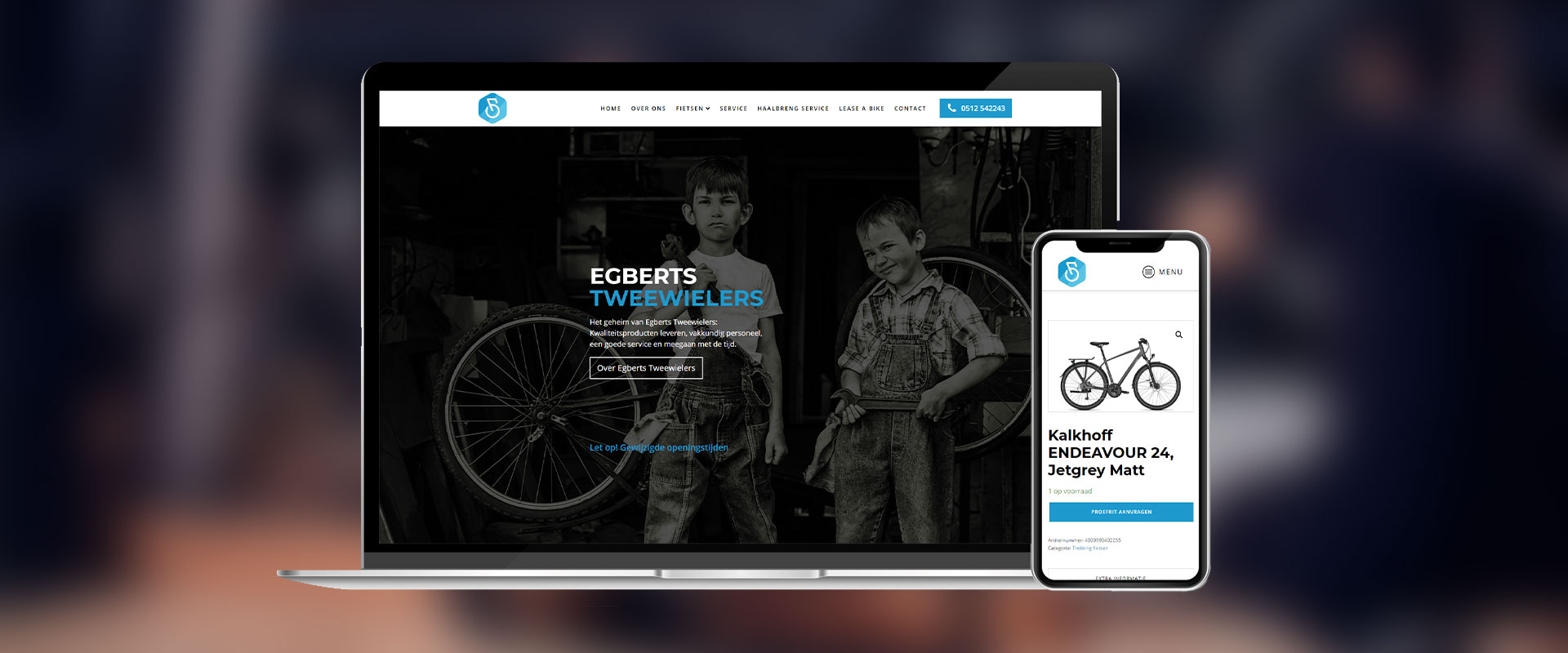 Webdesign Drachten
